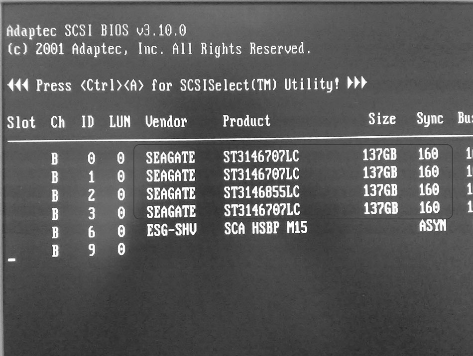 计算机检测到4块146GB的SCSI硬盘