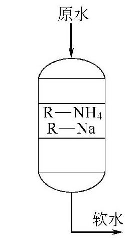 铵－钠离子交换软化处理系统有哪几种形式？