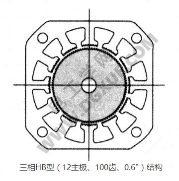 HB混合式步进电机（定子12主极、转子100齿、步距角0.6°）结构图