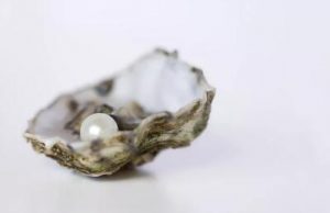 有的人说鉴别一粒珍珠是否为养珠凭肉眼即可，这种说法对吗？