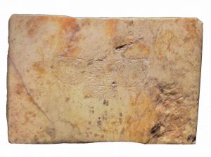 古玉刻兽面纹饰 （新石器时期）长5.7厘米，宽3.7厘米，高0.7厘米